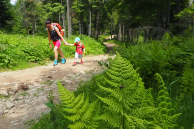 Bacówka na Obidzy: Co zjesz i ile zapłacisz? Pełne menu