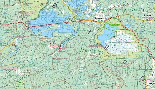 Lasy Janowskie: Planuj idealny wyjazd! Atrakcje, szlaki, porady