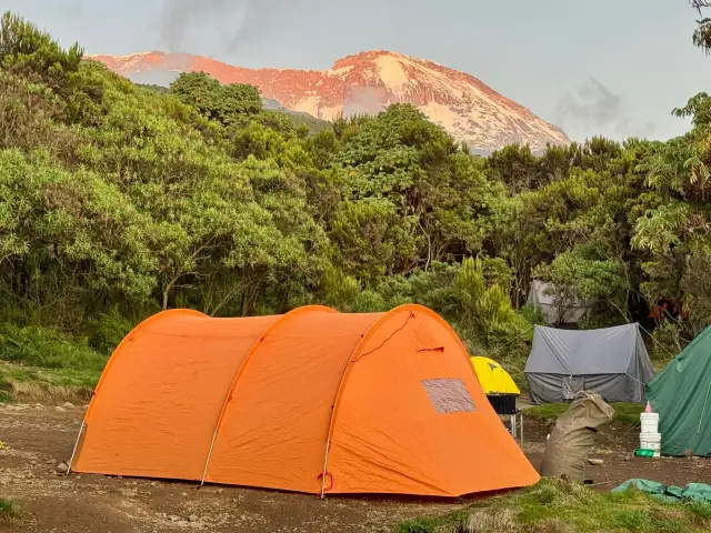 Obóz pod Kilimandżaro. Pomarańczowy namiot na pierwszym planie, w tle ośnieżony szczyt. Czas wejścia na górę zbliża się wielkimi krokami.