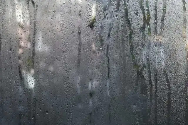 Wilgoć w aucie? Skuteczne sposoby na osuszenie i zapobieganie