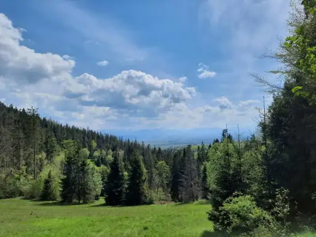 Najlepsze atrakcje w Raba Wyżnej, które musisz zobaczyć podczas wizyty