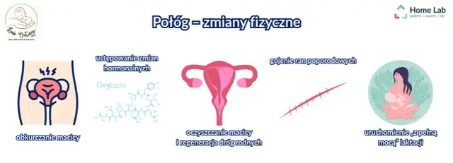 Kiedy oddać krew po porodzie? 6 miesięcy to początek sprawdź!