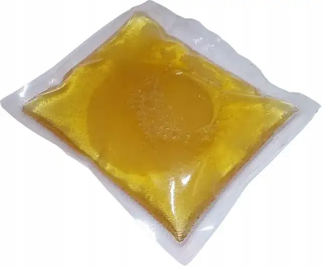 Gdzie kupić grzybek kombuchy? Sprawdzone miejsca i porady SCOBY