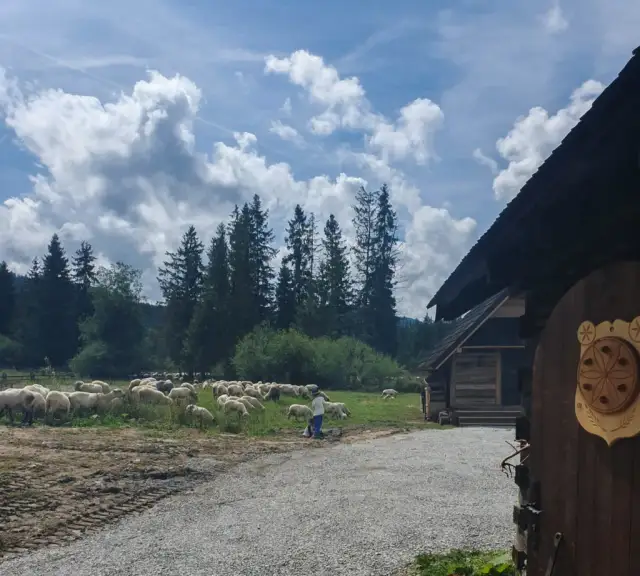 Bacówka na Polanie Biały Potok: Przewodnik po smakach i szlakach