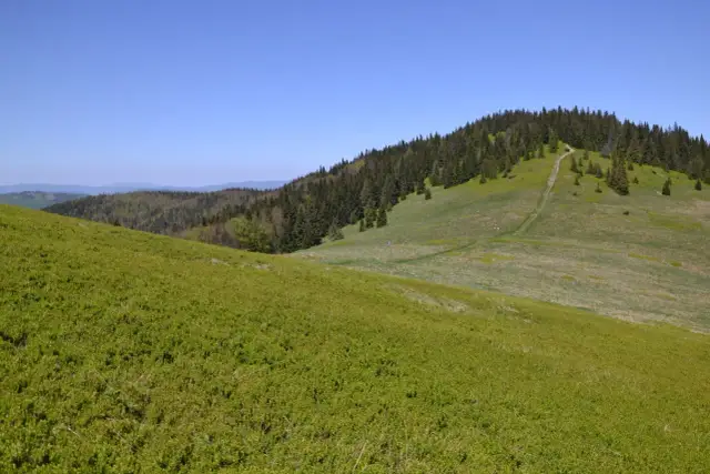 Bacówka na Rycerzowej: Kompletny przewodnik. Nocleg, szlaki, racuchy!