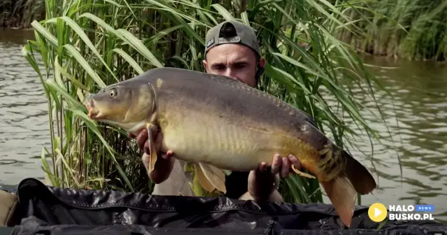 Łowisko Grodzisko: Karpie 30+kg? Twój przewodnik na big fish!