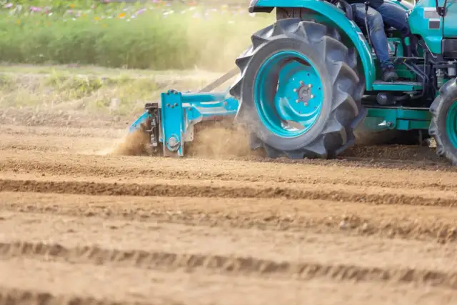 Glebogryzarka separacyjna czy zwykła? Którą wybrać?