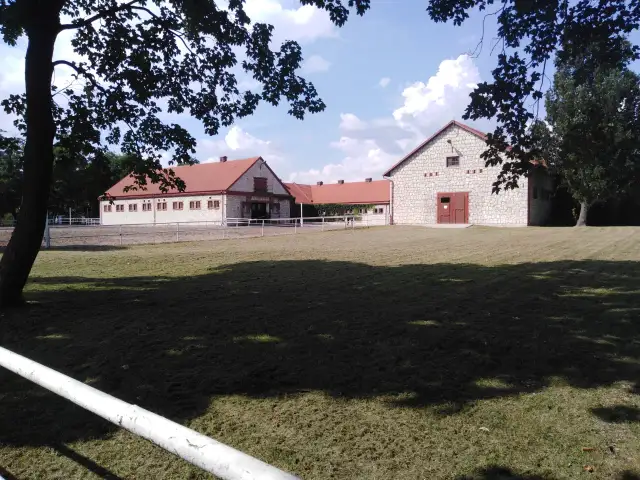 Stadniny koni arabskich w Polsce - historie, osiągnięcia i tradycje