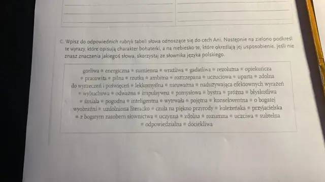 Ania Shirley: Charakterystyka. Dlaczego wciąż inspiruje?