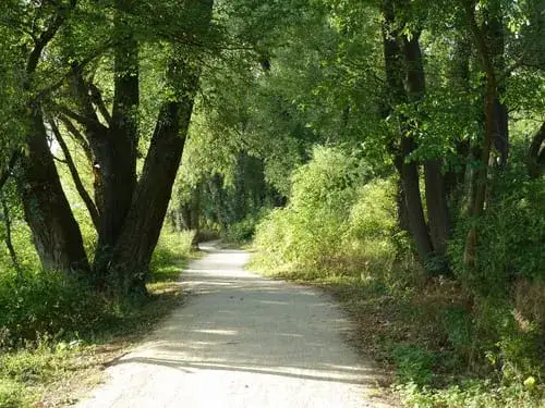 Gdzie biegać w Warszawie? Odkryj najlepsze trasy i miejsca do biegania