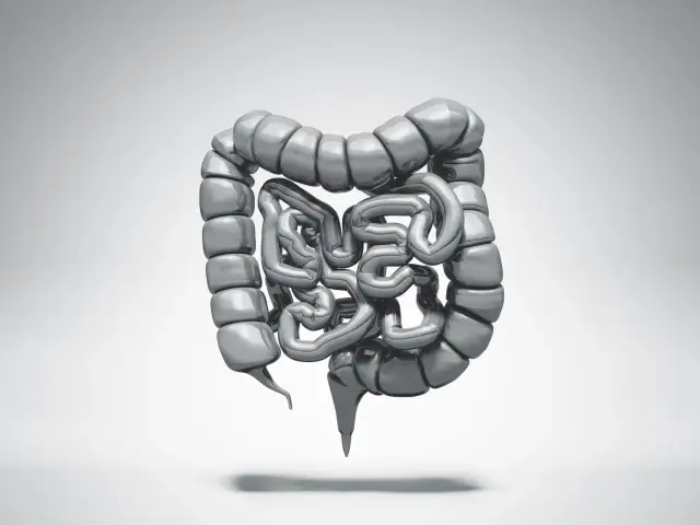 Zastawka Bauhina objawy: Jak rozpoznać problemy i uniknąć bólu