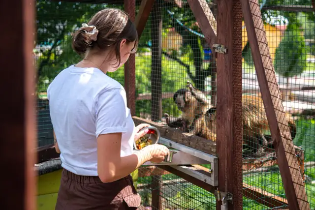 Najlepsze atrakcje w Rumi, które musisz zobaczyć z rodziną