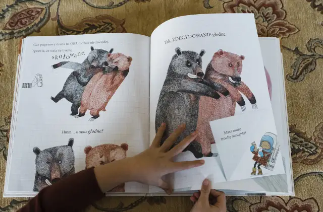 Jak opisać pluszowego misia? Dwa niedźwiedzie, jeden szary, drugi rudy, przytulają się. Czy są głodne?