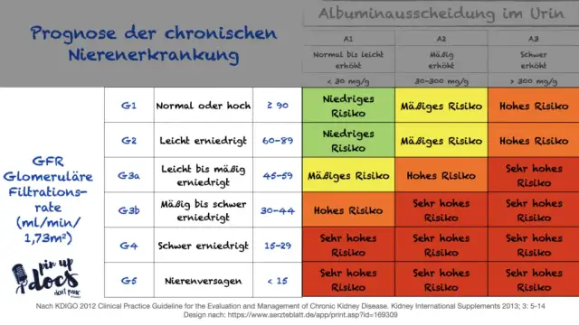 Chronische Niereninsuffizienz: Diagnose & Stadien einfach erklärt