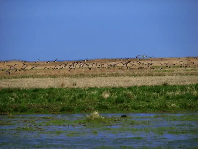 Rezerwat Przyrody Beka - odkryj piękno natury i bioróżnorodność