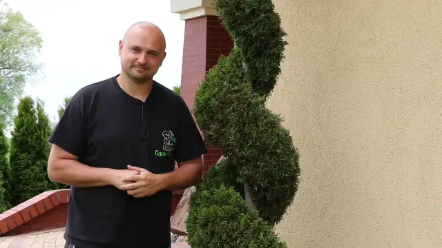 Jak przycinać tuje? Uniknij błędów i ciesz się gęstym żywopłotem