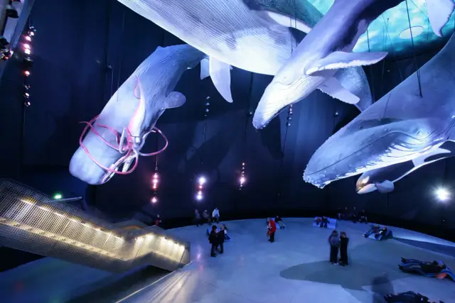 Kołobrzeg atrakcje dla dzieci: oceanarium, które zachwyci maluchy