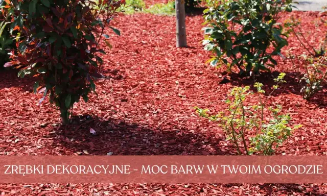 Mulcz dekoracyjny: Co to jest i jak odmieni Twój ogród? Poradnik