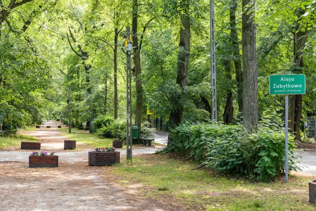 Najlepsze atrakcje w Podkowie Leśnej, które musisz zobaczyć