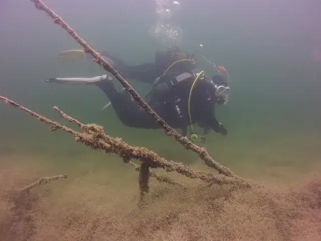 Jezioro Budzisławskie: Idealne miejsce na nurkowanie i relaks