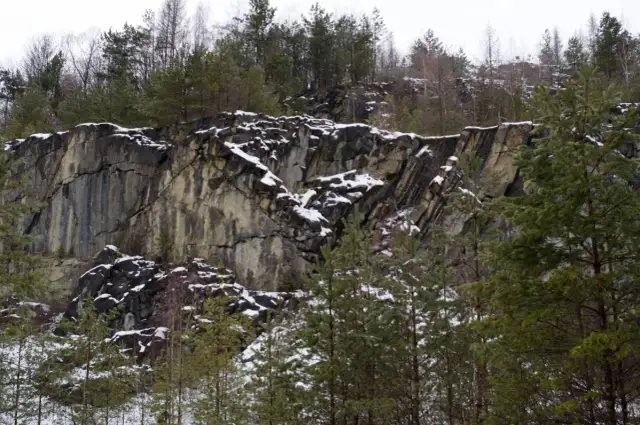 Rezerwat przyrody Koziniec: Odkryj unikalną florę i faunę tego miejsca