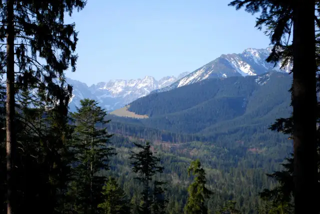 Murzasichle: Szlaki turystyczne na każdą pogodę i kondycję