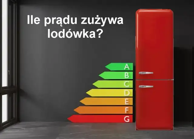 Dobowe zużycie energii przez lodówkę Statystyki