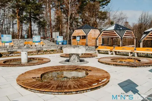 Najciekawsze atrakcje w Paczkowie, które musisz zobaczyć