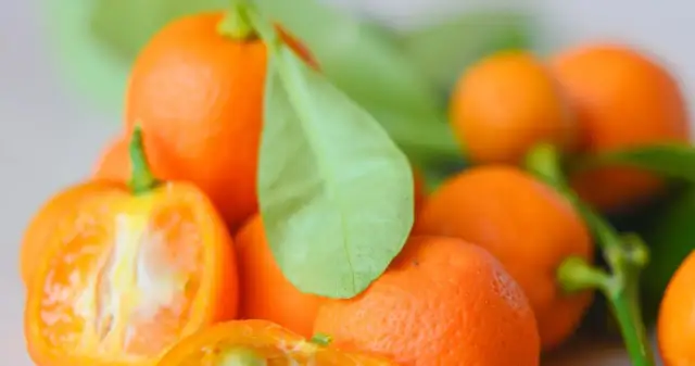 Ile kcal ma mandarynka? Zaskakujące fakty o kaloryczności tego owocu