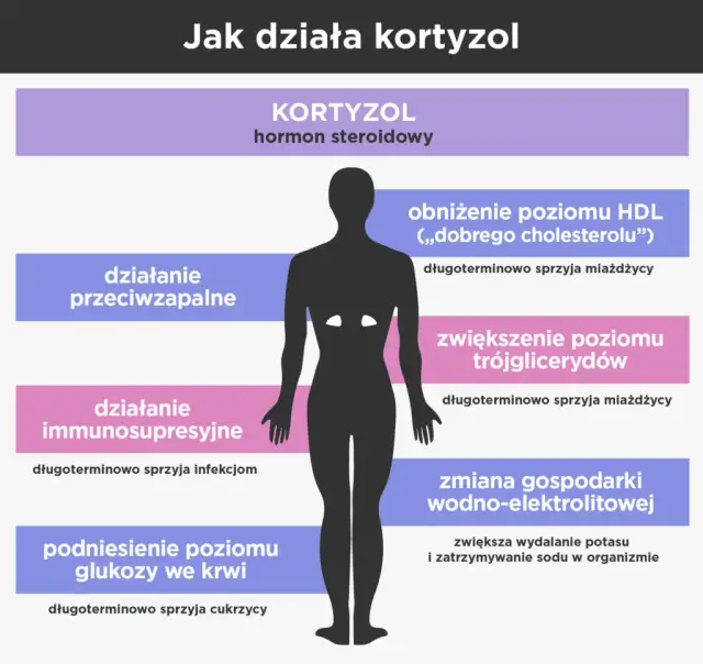 Objawy somatyczne nerwicy: jak ciało reaguje na stres?