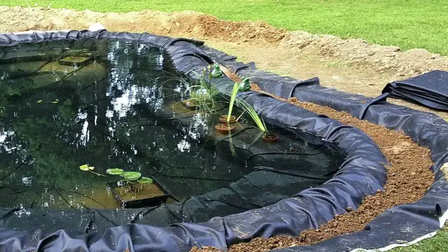 Oczka wodne jak zrobić - proste kroki, aby uniknąć błędów i kosztów