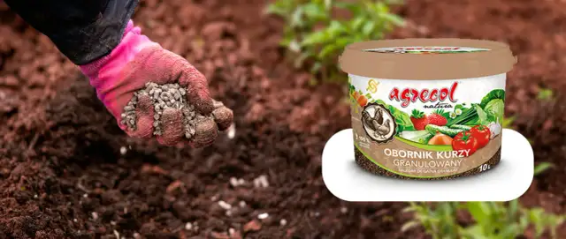 Nawóz kurzy czy bydlęcy - który wybór jest lepszy dla roślin?