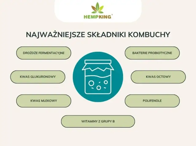 Kombucha: Jak pić bezpiecznie? Dawkowanie, pory, przeciwwskazania