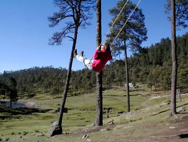Jak zawiesić huśtawkę między drzewami bezpiecznie i łatwo