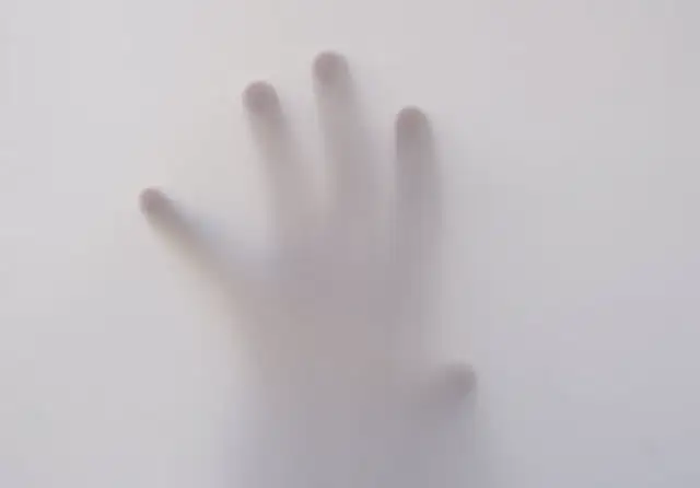 Fantomy medyczne – czym są i do czego służą w nauce?