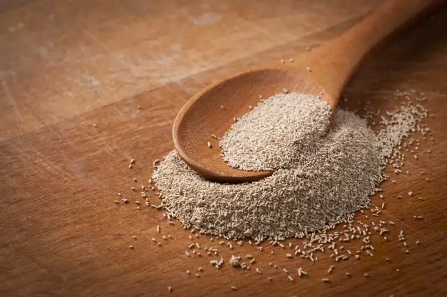 Granulat drożdży piwnych na drewnianej łyżce. Warto znać drożdże piwne przeciwwskazania przed ich suplementacją.