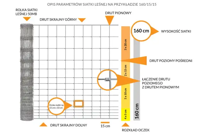 Płot na sarny: Jaka wysokość zapewni 100% ochronę ogrodu?