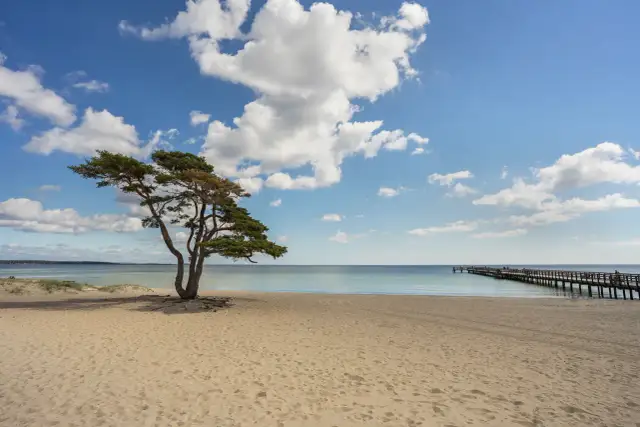 Ile km przez Bałtyk do Szwecji? Zaskakujące odległości i trasy