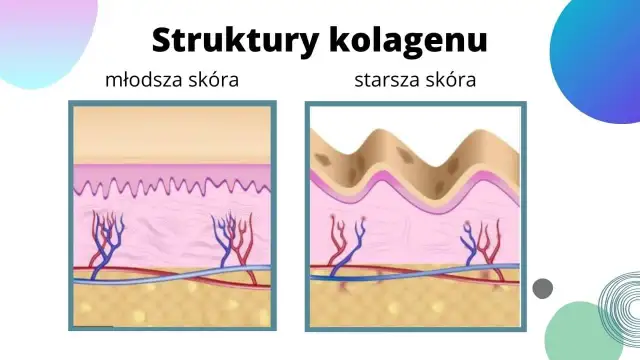 Do czego służy kolagen? Poznaj jego kluczowe funkcje i korzyści