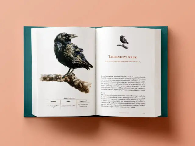 Co się dzieje w lesie książka - odkryj fascynujący świat przyrody