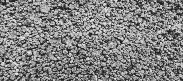 Styrobeton: Ile kosztuje? Wycena, porady + jak zaoszczędzić