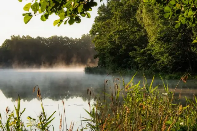 Steszewko: Najciekawsze atrakcje turystyczne w miejscowości Steszewko
