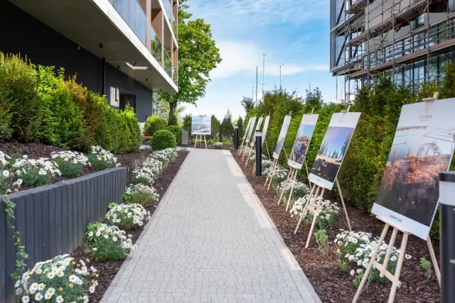 Szczecin co zobaczyć? Odkryj Floating Garden i jego perły!