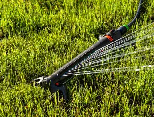 Wybierz zraszacz wahadłowy: Poradnik, który nawodni Twój trawnik
