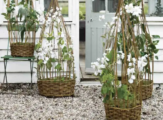 Jak wykorzystać kosz wiklinowy w ogrodzie - praktyczne i kreatywne pomysły