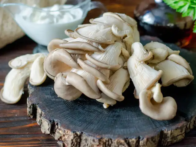 Jak zrobić boczniaki na obiad - proste przepisy, które zachwycą