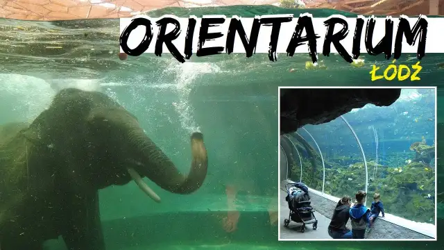 Odkryj fascynujący świat oceanarium w zoo Łódź i jego atrakcje