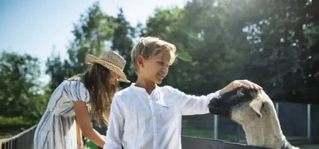 Agroturystyka czy warto? Sprawdź, jak zyskać na tym biznesie