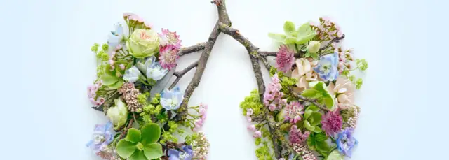 Skuteczne leki na alergię na pyłki traw - ulga w sezonie alergicznym