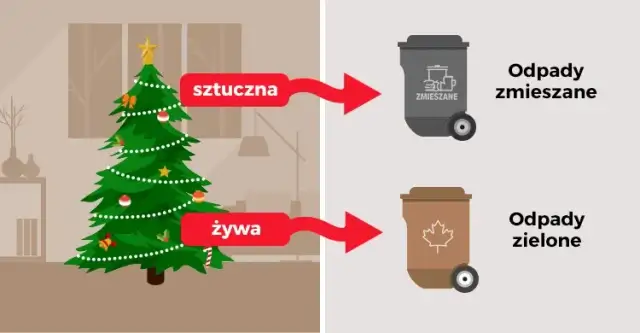Gdzie wyrzucić sztuczną choinkę? Sprawdź, jak to zrobić właściwie